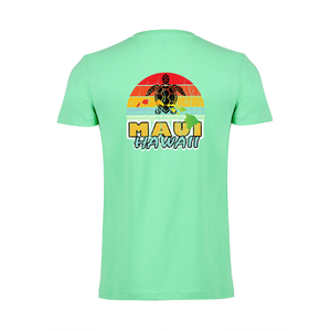 Rainbow Turtle Value Tee