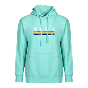 Rainbow Stripe Adult Hoodie