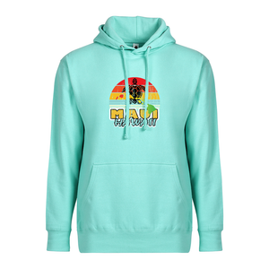 Rainbow Turtle Adult Hoodie