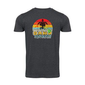 Rainbow Turtle Value Tee