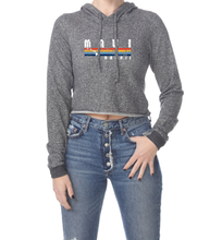 Load image into Gallery viewer, Rainbow Stripe Cropped Hoodie
